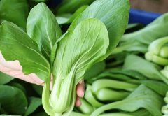 植物根系分析儀為農業(yè)發(fā)展注入新的活力
